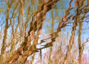 Reflection XI